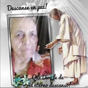 Meet your Posher, Rosa